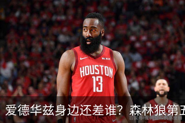 爱德华兹身边还差谁？森林狼第五位首发到底怎么选